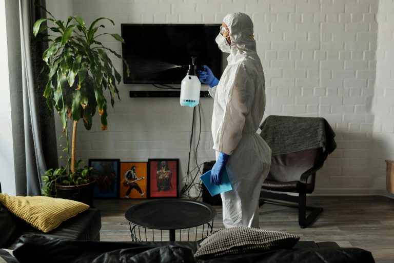house clean